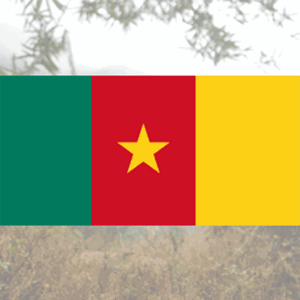 Blog #28: het marktsentiment: "Zorgwekkende ontwikkelingen in Kameroen" 